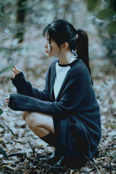 长月烬明 电视剧