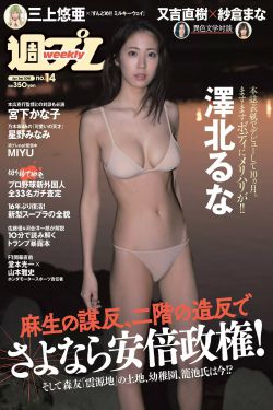 流氓师表
